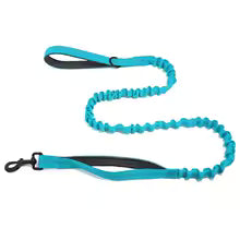 Laisse élastique Canio pour chien