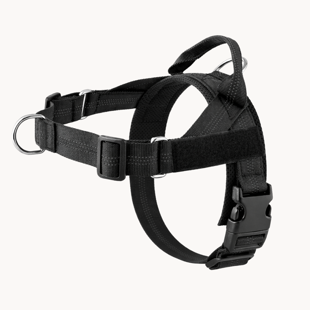 Harnais anti-traction Canio