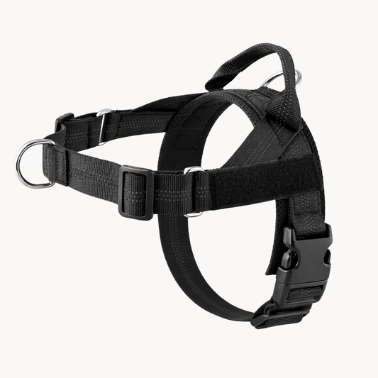 Harnais anti-traction Canio