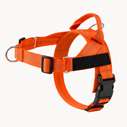 Harnais anti-traction Canio