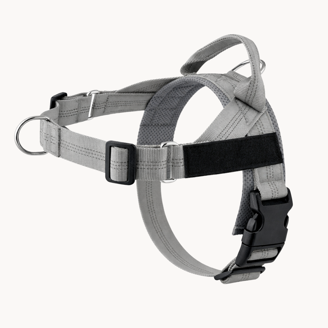 Harnais anti-traction Canio