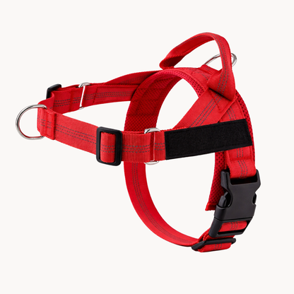 Harnais anti-traction Canio