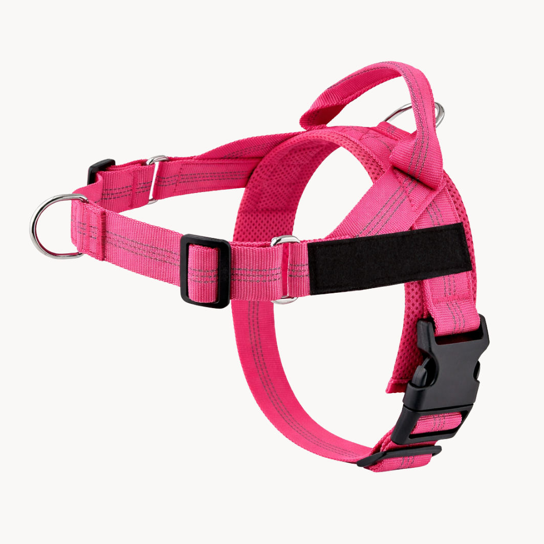 Harnais anti-traction Canio