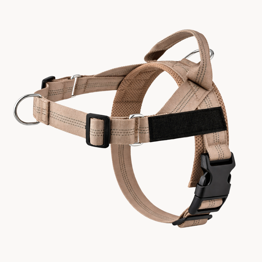 Harnais anti-traction Canio