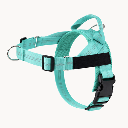 Harnais anti-traction Canio