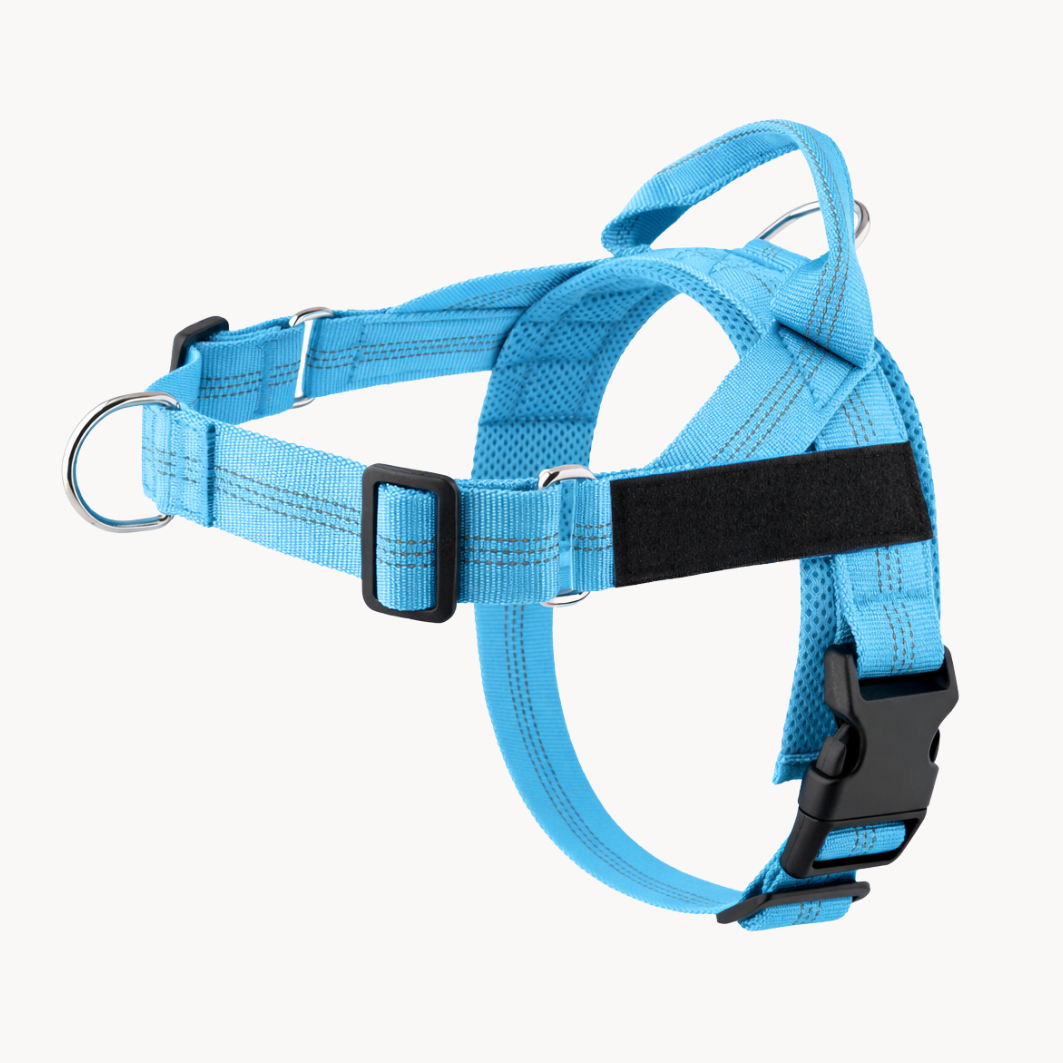 Harnais anti-traction Canio