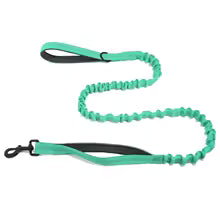 Laisse élastique Canio pour chien