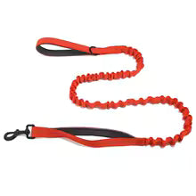 Laisse élastique Canio pour chien
