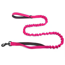 Laisse élastique Canio pour chien