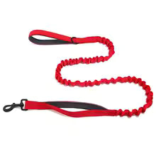 Laisse élastique Canio pour chien